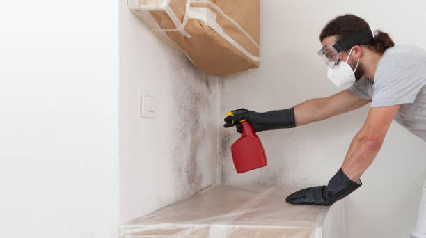 Professional Mold Remediation technician working in Sanborn, NY