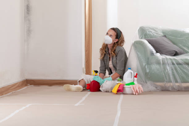 Reliable Mold Remediation contractor in Sanborn, NY by 24 Hour Mold Removal